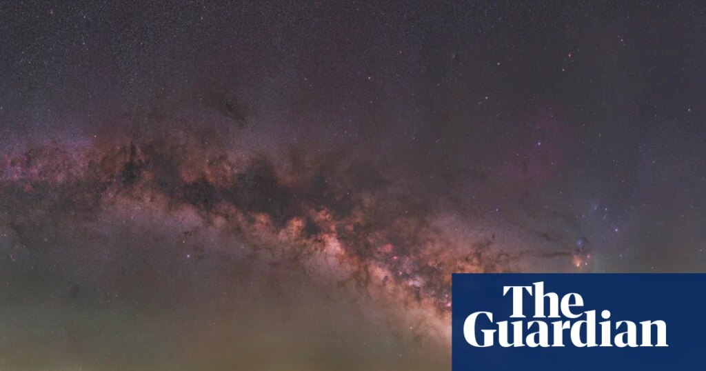 Alone with the stars, lynx and wolves in ‘Empty Spain’ | Spain holidays