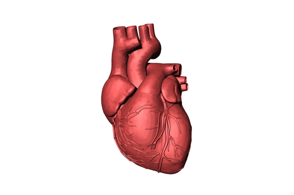 Cardiologist warns military personnel of hypertension, heart disease risks