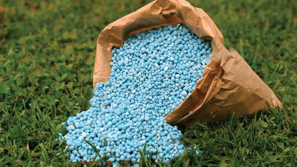 Fertiliser Cost Forecasting Key to US Food Security, Says Expert – THISDAYLIVE Fertiliser Cost Forecasting Key to US Food Security, Says Expert – THISDAYLIVE