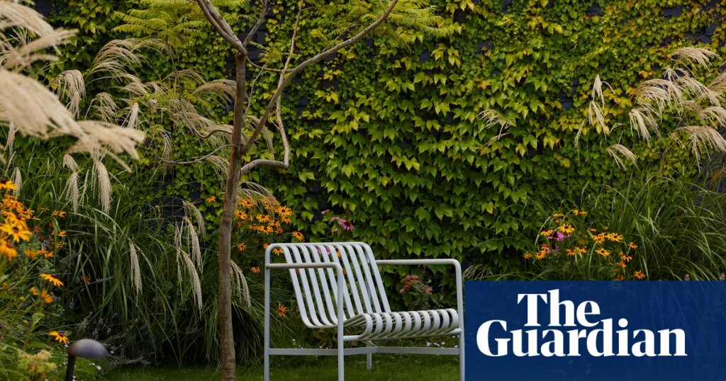 From urban rooftops to working cattle farms: Australia’s best home gardens – in pictures | Gardens