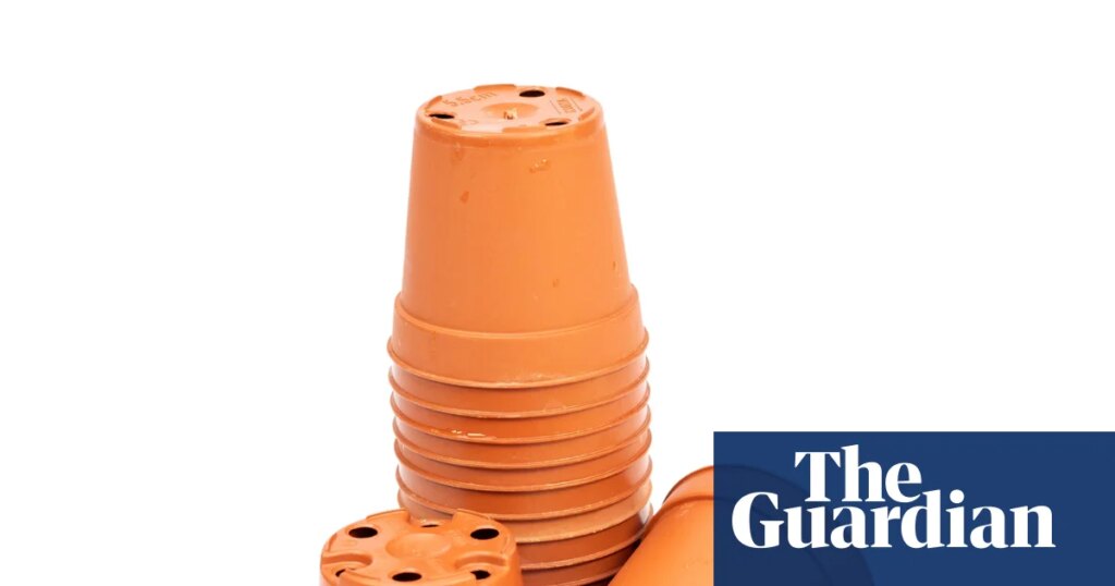 Houseplant hacks: is it eco-friendly or risky to reuse nursery pots? | Houseplants Houseplant hacks: is it eco-friendly or risky to reuse nursery pots? | Houseplants