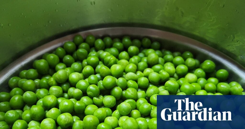 More peas, please! 17 delicious ways to devour Britain’s most brilliant vegetable | Vegetables More peas, please! 17 delicious ways to devour Britain’s most brilliant vegetable | Vegetables