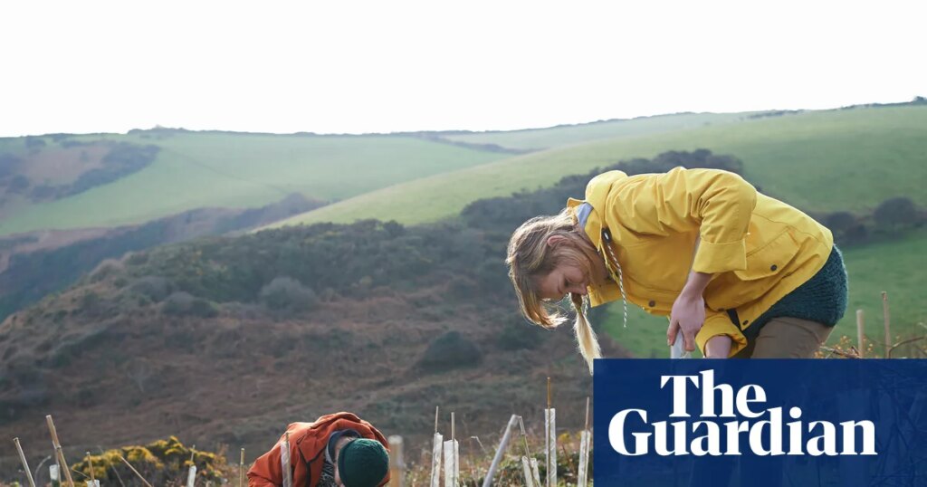 Tell us about a great conservation tourism experience | Travel