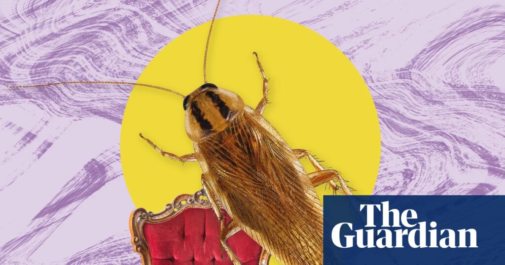 The pest I’ll never forget: the cockroaches I still dream about | Insects The pest I’ll never forget: the cockroaches I still dream about | Insects