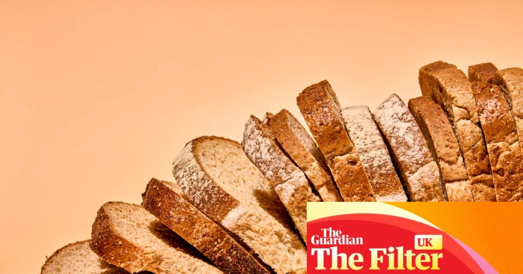 ‘A proud loaf with a deep, caramel crust’: the best (and worst) supermarket sliced wholemeal bread, tasted and rated | Bread
